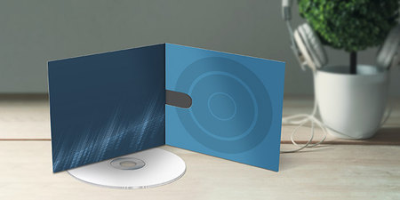 CD/DVD Sleeves In Action