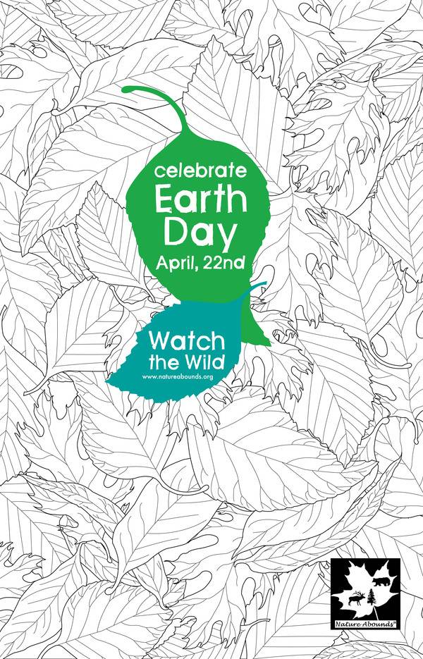 Earth Day Poster Ideas - 16 Nature Abounds Posters