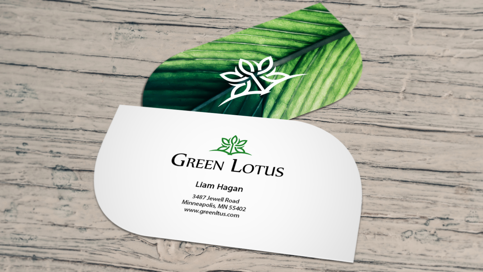 Environmental organizations benefit with leaf businesss cards. Leaf business card for an environmental organization