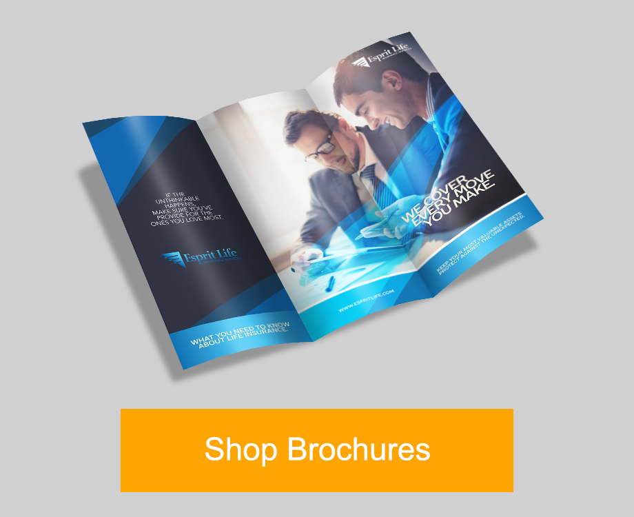 Shop Brochures
