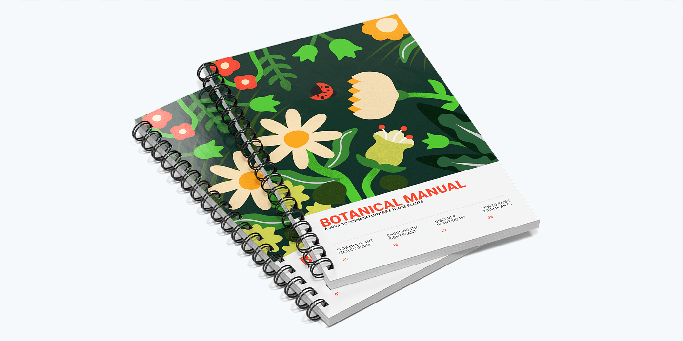 Booklets Printing - Wire-O Binding